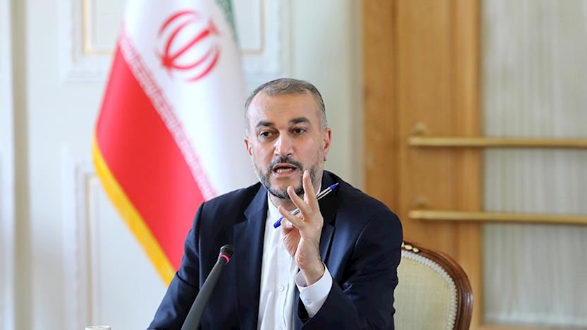 Iranpress: FM says Iran more determined on path of lifting sanctions