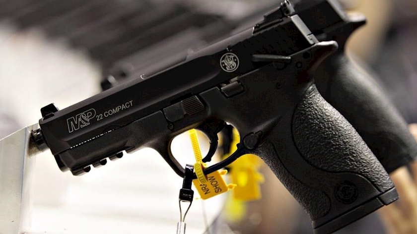 Iranpress: Iran dismantles big arms smuggling gang on western borders