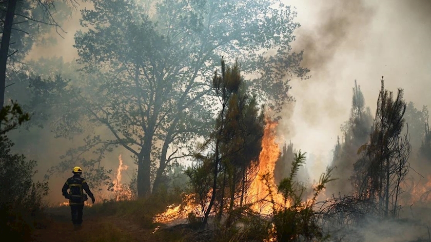 Iranpress: Thousands flee homes as wildfires rage across Europe