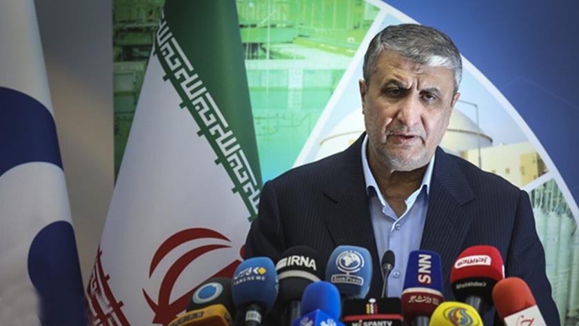 Iranpress: IAEA cameras not to be turned on for time being: AEOI chief
