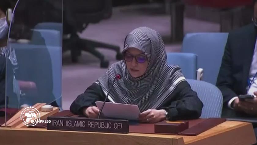 Iranpress: UNSC just emboldens Israel regime to continue crime against Palestinians