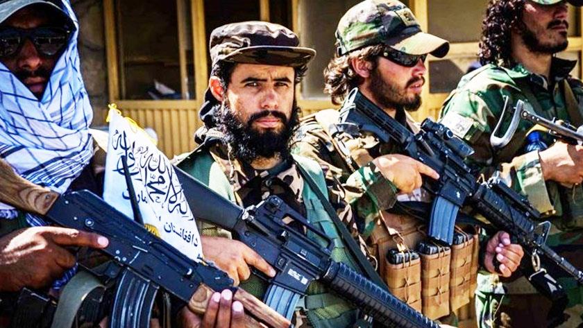 Iranpress: Taliban