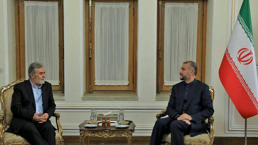 Iranpress: Islamic resistance to defend inalienable rights of Palestine