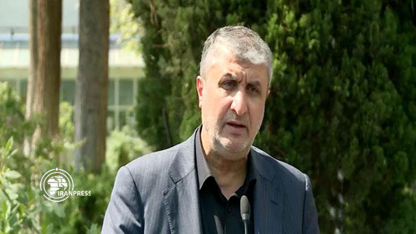Iranpress: Iran warns parties of JCPOA over alleged charges