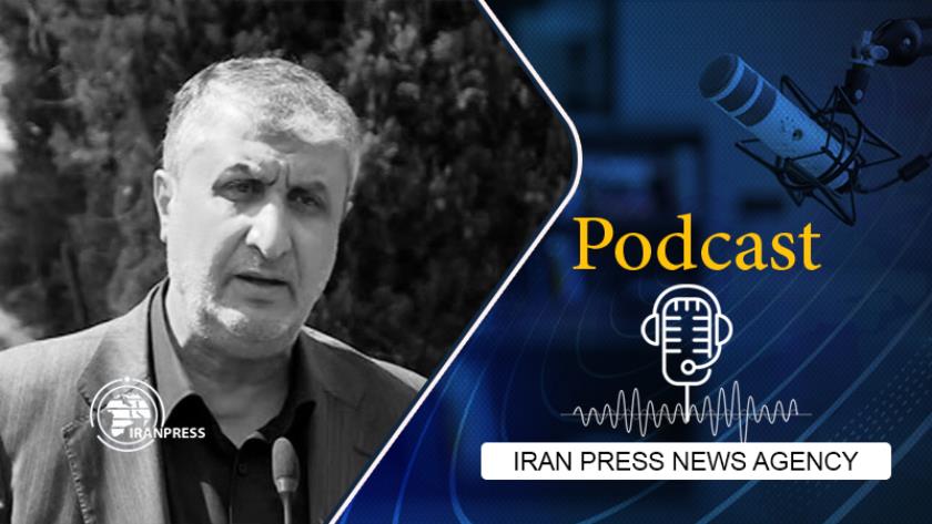 Iranpress: AEOI Chief: In case no alleged charges drop, no cameras to be installed