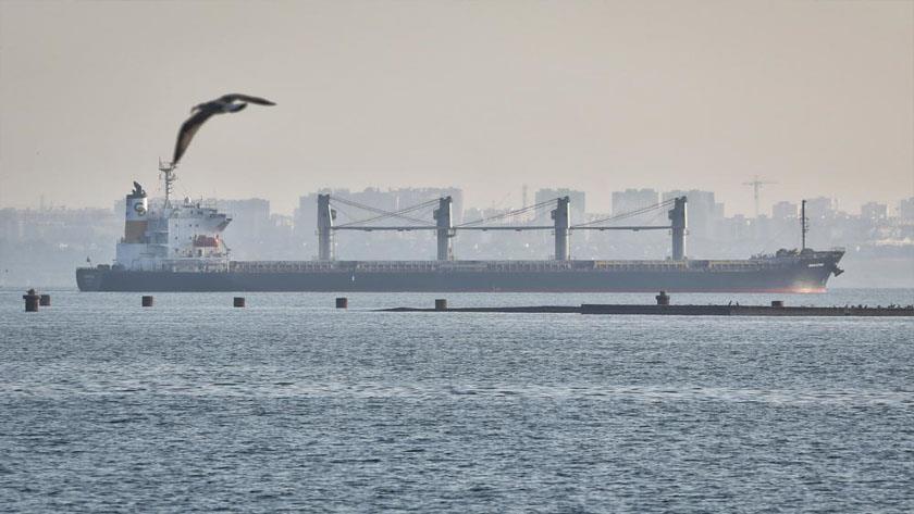 Iranpress: More grain exported from Ukraine under UN deal