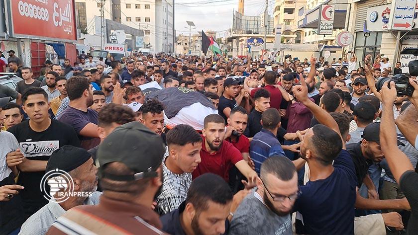 Iranpress: Palestinian martyrs
