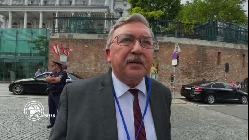 Iranpress: Ulyanov: Positive negotiations in Vienna underway
