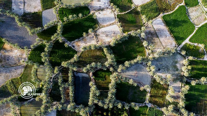 Iranpress: Qasreqand; tourism gem of Sistan and Baluchistan