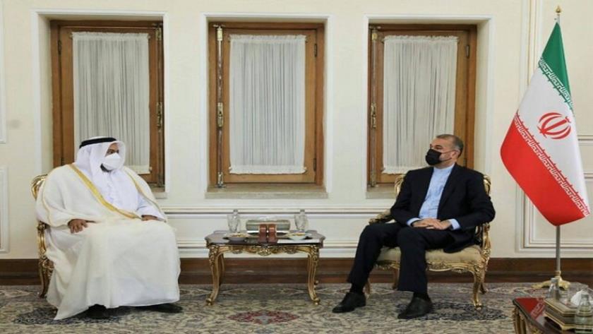 Iranpress: Qatar