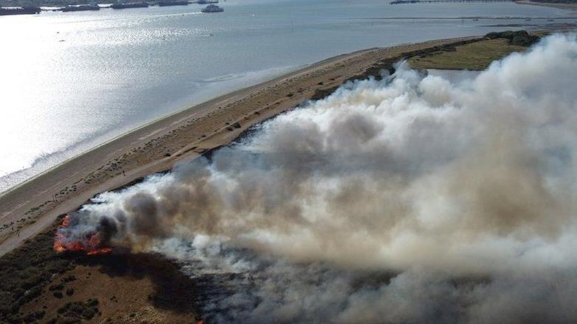Iranpress: Extreme heat causes wildfires across UK