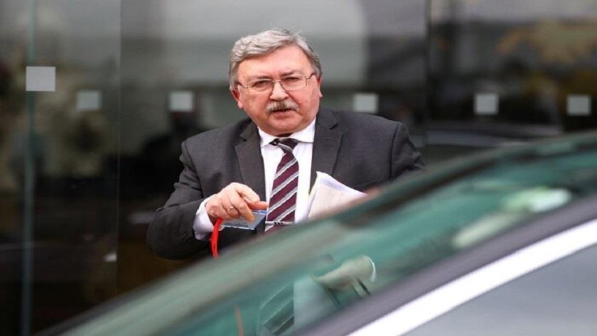 Iranpress: Final outcome of Vienna talks depends on US reaction: Russian Envoy