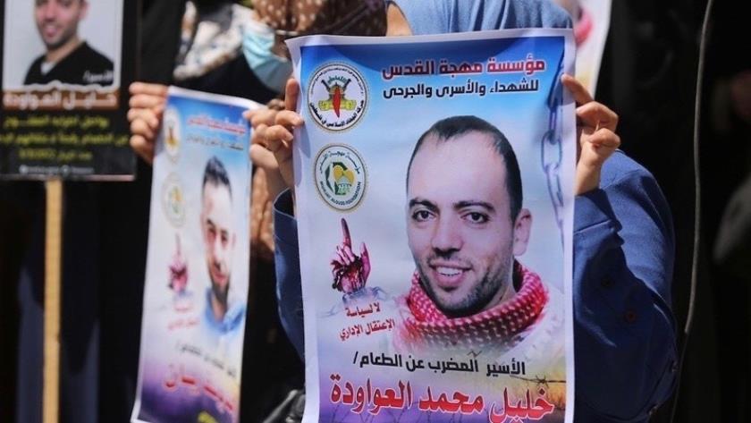 Iranpress: Awawdeh to continue hunger strike until his release