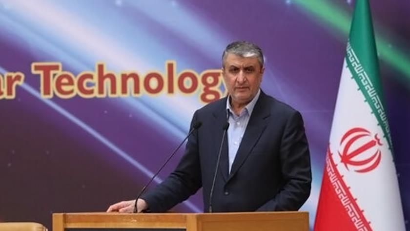 Iranpress: World powers try to hinder Iran