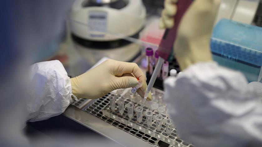 Iranpress: Iran, among biggest animal probiotics producer globally