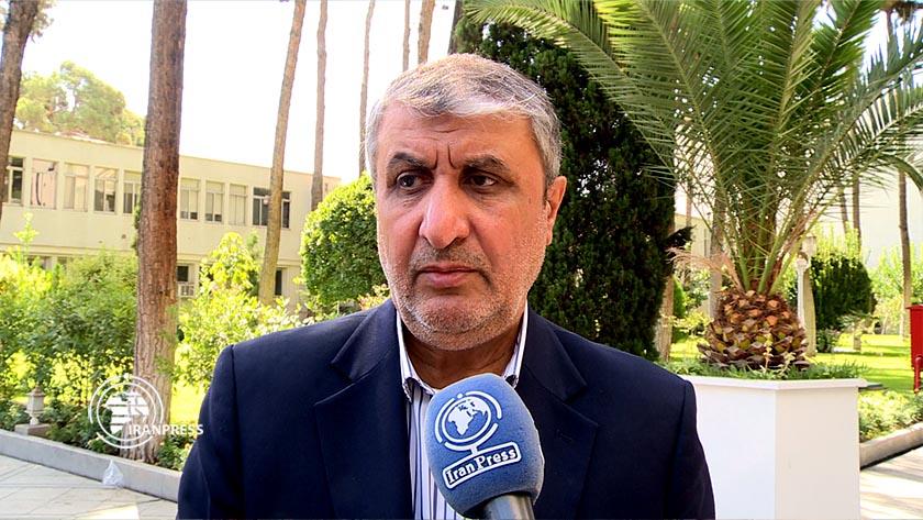 Iranpress: Iran to unveil Gamma-Radiation System