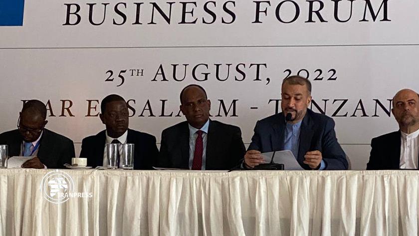 Iranpress: Africa, priority of Iran’s economic diplomacy: FM
