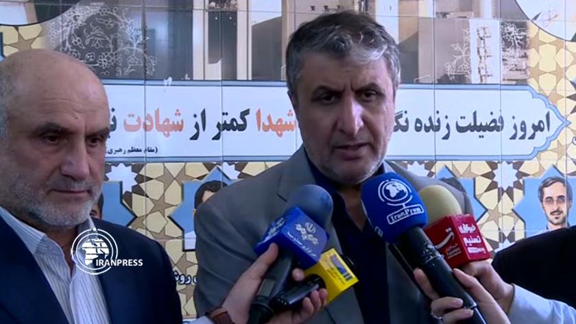 Iranpress: Iran to produce 10,000 megawatts nuclear electricity: AEOI Chief