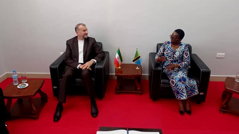 Iranpress: Iran underlines developing agreements with Tanzania