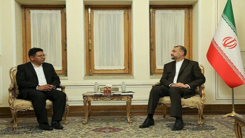 Iranpress: Iran to boost ties with Bolivia  