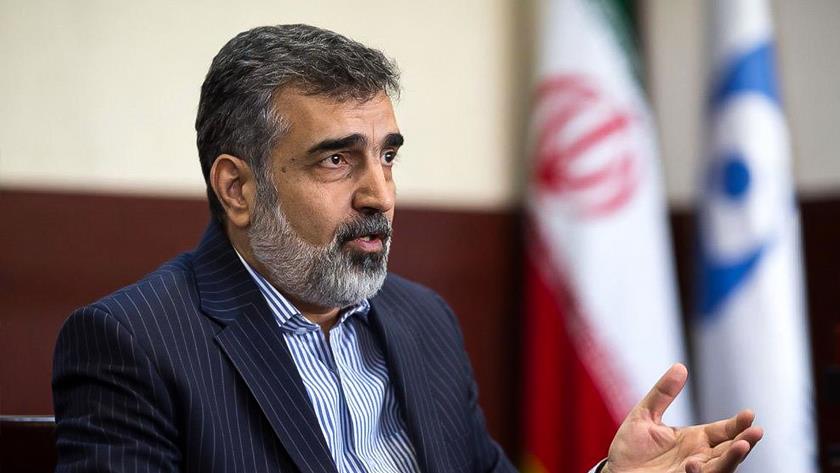 Iranpress: IAEA demands from Iran avarice: AEOI Spox