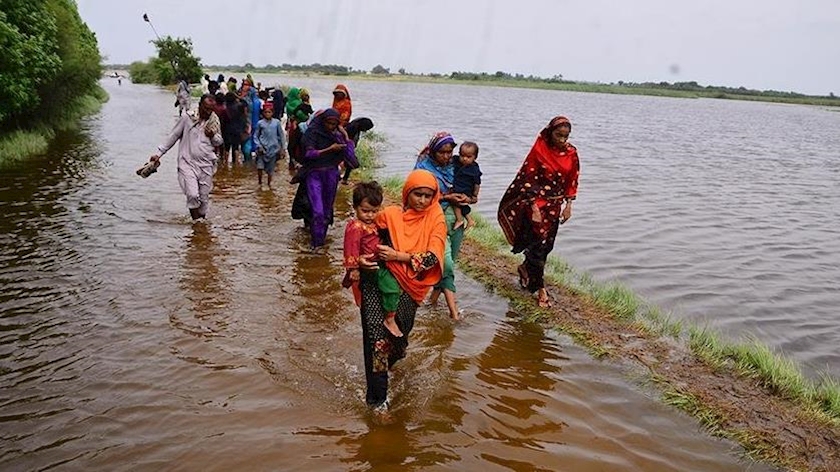 Iranpress: 19 killed, 1,256 injured in rain spells across Pakistan in 24 hours