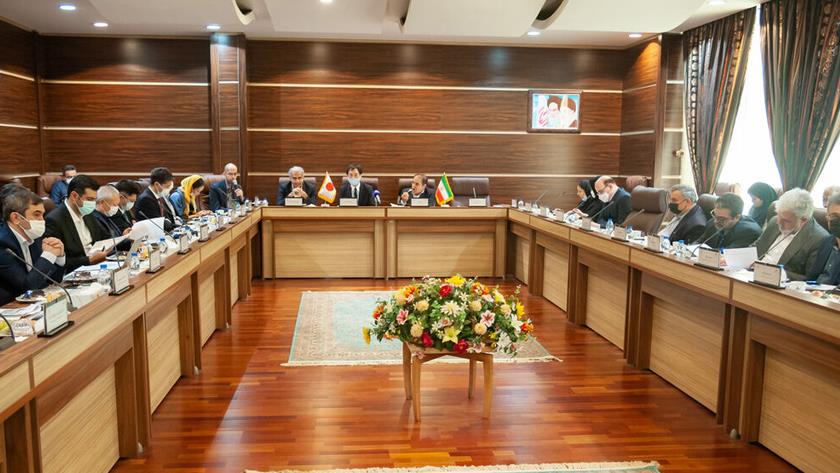 Iranpress: Iran, Japan hold Seminar on Net Zero Emissions by 2050