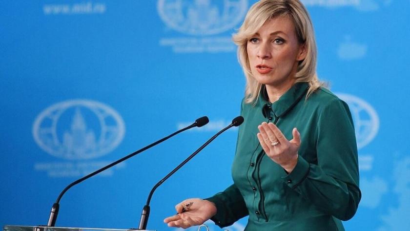 Iranpress: Russia: US is behind Europe