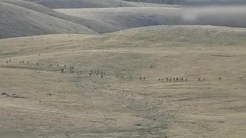 Iranpress: Armenia-Azerbaijan fighting flares again after deadly exchanges