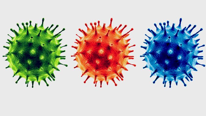 Iranpress: Coronavirus strains change every 8 months: Russian vaccine developer