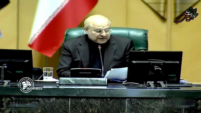 Iranpress: Arbaeen rituals prevent nations division: Parliament Speaker