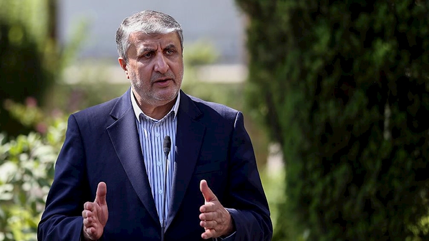 Iranpress: AEOI Chief: No deviations in Iran
