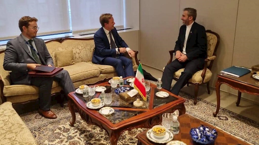 Iranpress: Iran top negotiator meets EU, Dutch envoys