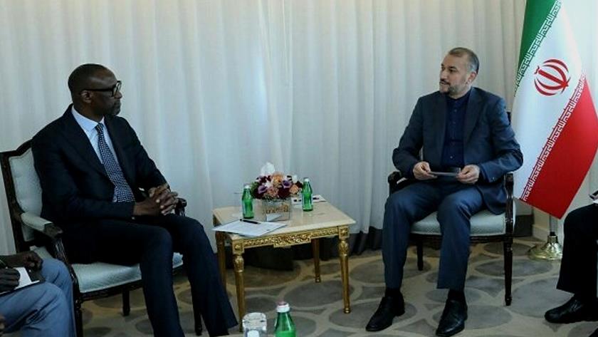 Iranpress: Iran,Mali FMs urge boosting ties