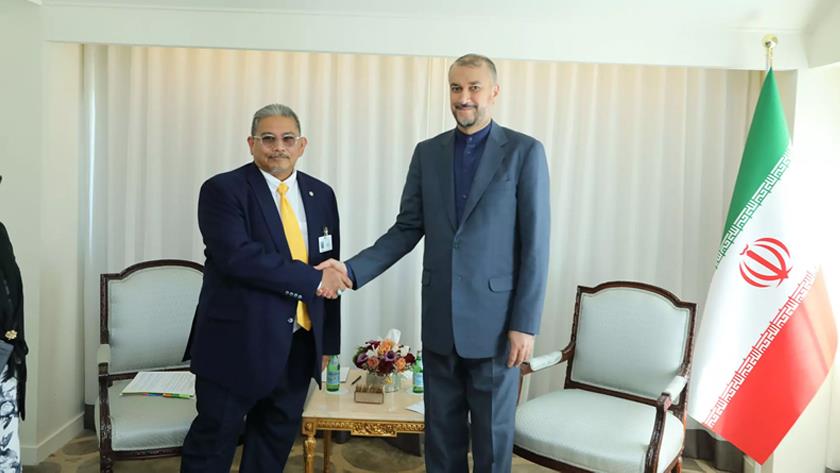 Iranpress: Iranian FM meets with Bruneian counterpart in New York