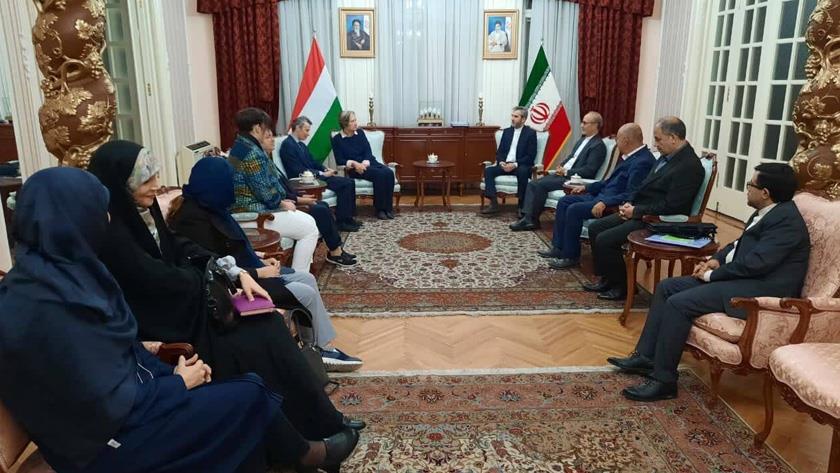 Iranpress: Iranian culture; A human treasury for world