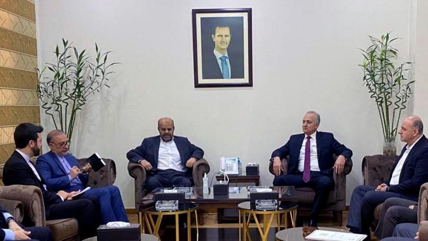 Iranpress: Iran, Syria stress joint rail route
