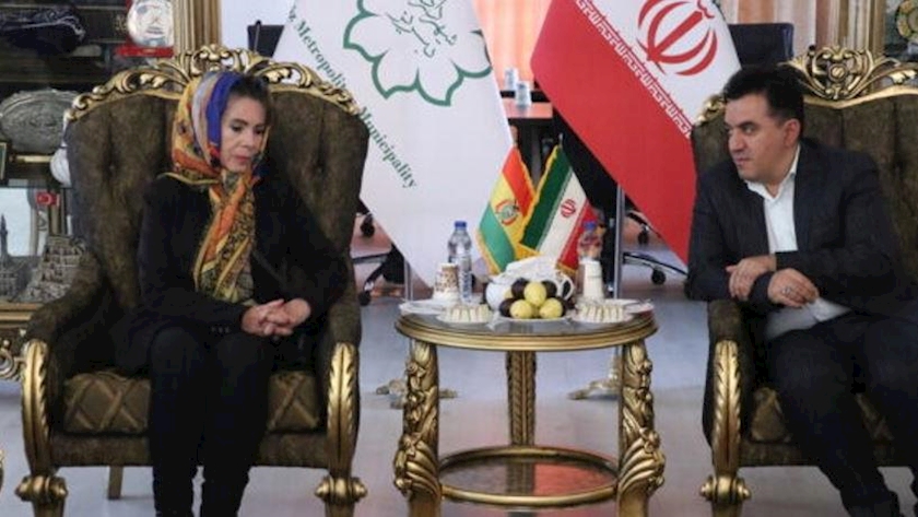Iranpress: Bolivia condemns West