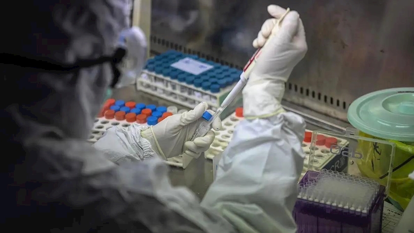 Iranpress: US researchers have developed more lethal COVID strain in lab