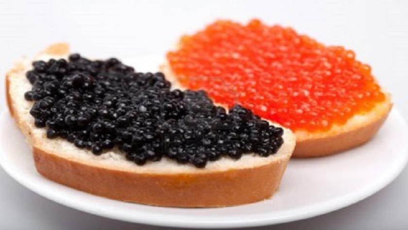 Iranpress: Iran exports 5.5 tons of caviar