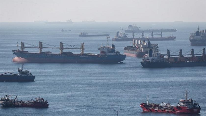 Iranpress: Türkiye says more grain ships depart from Ukraine under Istanbul deal
