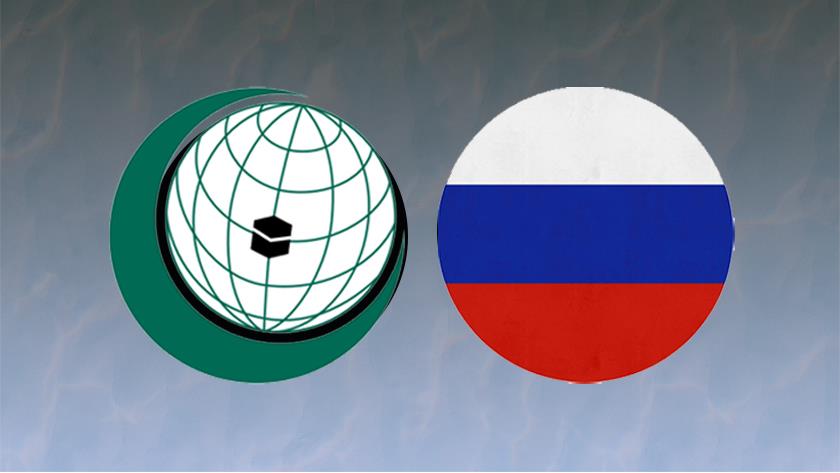 Iranpress: Russia cementing its coop. with OIC