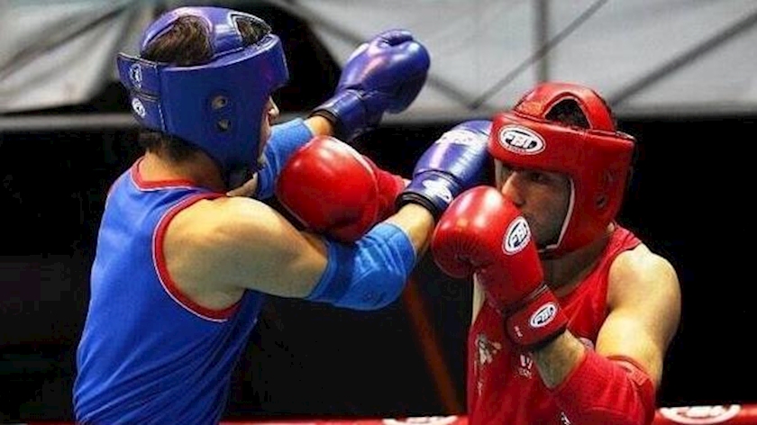 Iranpress: Iran appointed head of MMA in Asia