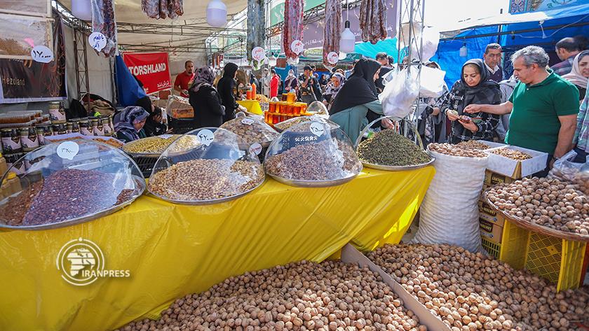 Iranpress: Grape festival in Amirkabir