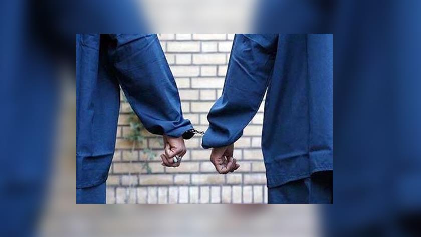 Iranpress: Three MKO elements arrested in southern Iran