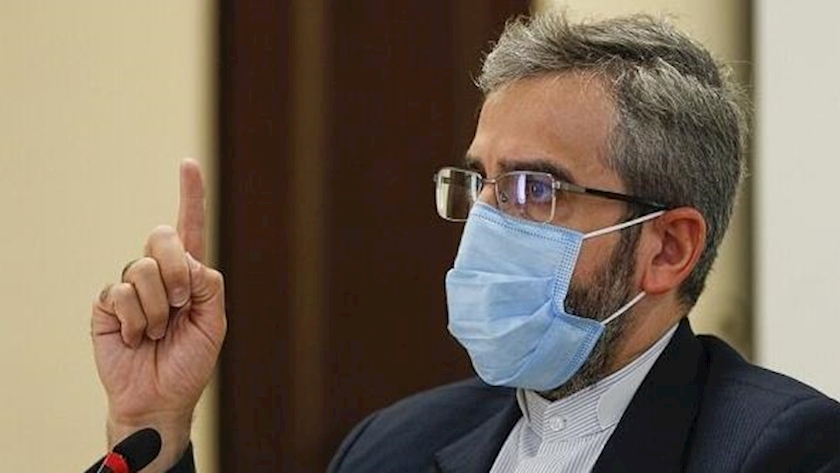 Iranpress: Opium production in Afghanistan 50-folded after US invation: Dep. FM 