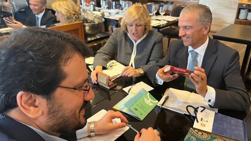 Iranpress: Iran, Portugal confer on boosting auditing ties