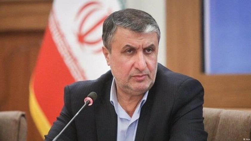 Iranpress: IAEA anti-Iran resolution not to help solving existing issues