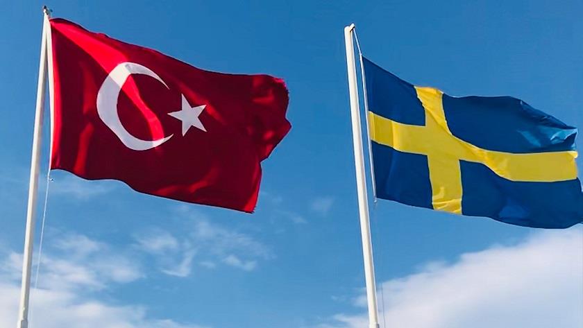 Iranpress: Türkiye summons Swedish envoy over images insulting Erdogan