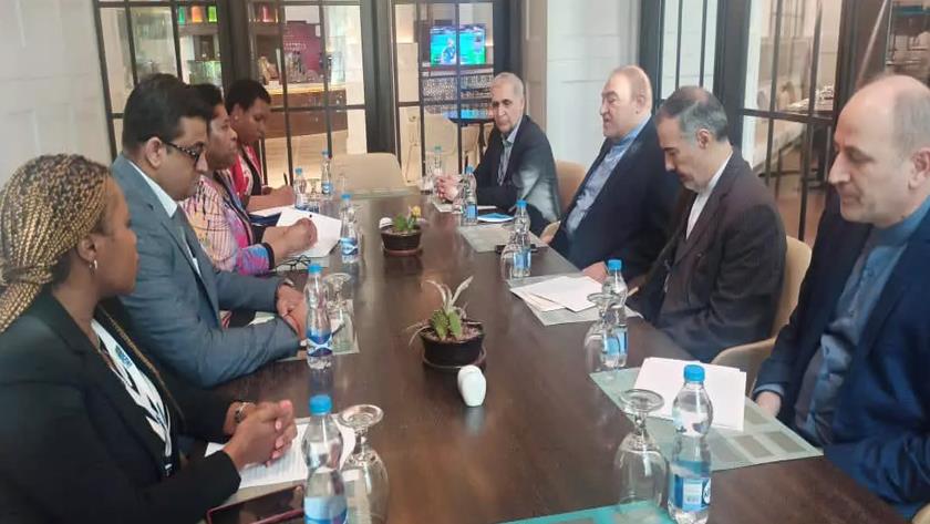 Iranpress: Iran Deputy FM confers latest economic developments with IORA member states